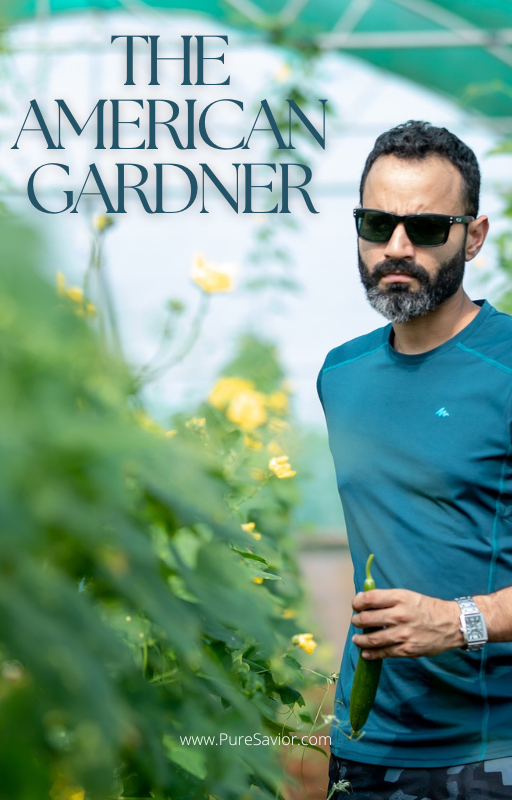 American Gardner - eBook
